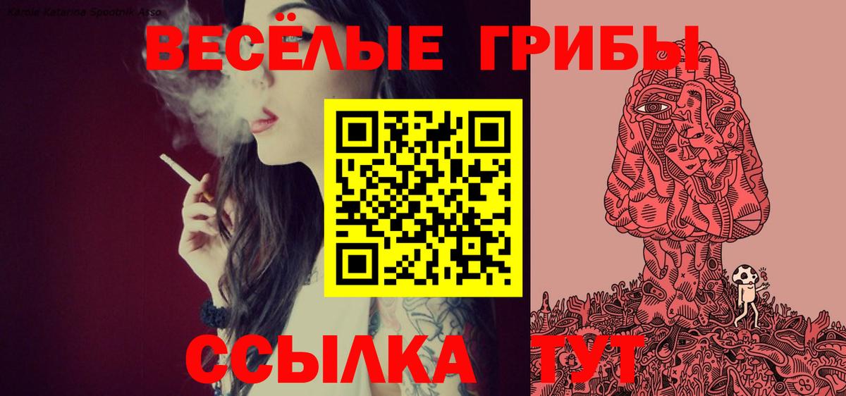 Уварово  Галлюциногенные грибы прущие грибы  что такое   Вход с VPN 